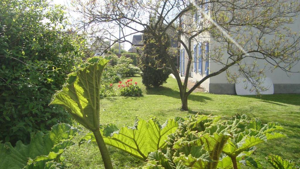 La Maison Claire Longueville  Extérieur photo